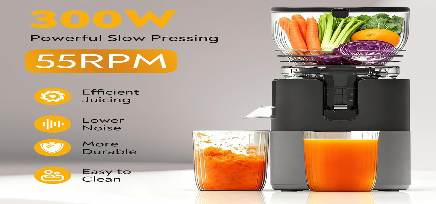 VibeNow Cold Press Juicer
